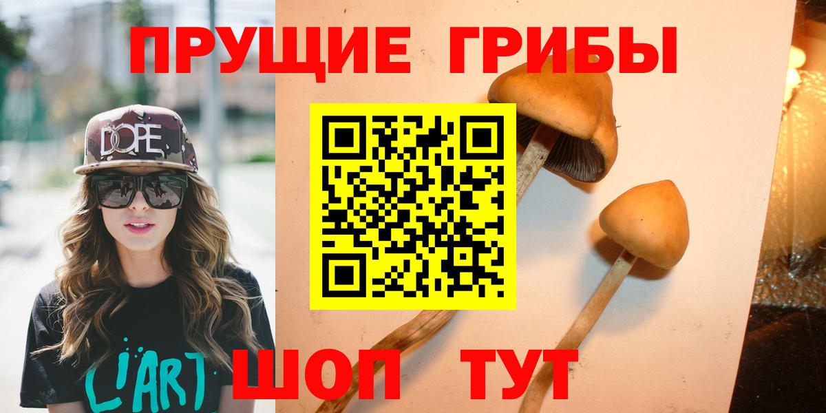 Галлюциногенные грибы Magic Shrooms  Вход с VPN  Усть-Илимск  Галлюциногенные грибы GOLDEN TEACHER 